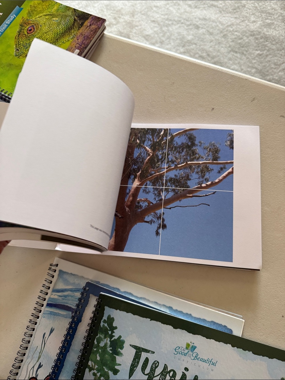 Good & Beautiful Language Arts & Literature Level Six Course Book - Green - Picture 8 of 10
